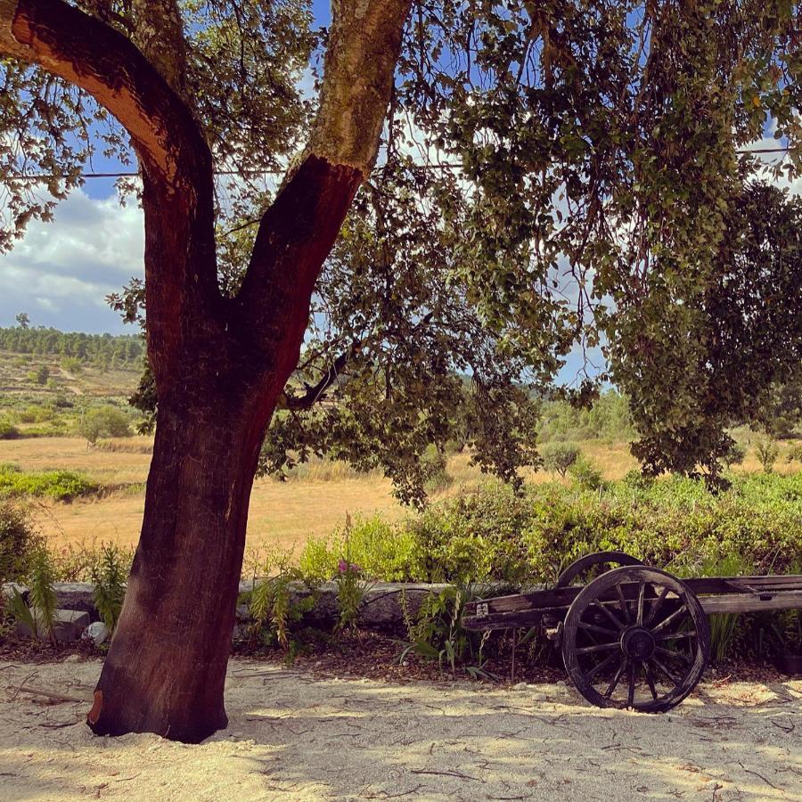 Quinta Da Corga Hotel Prova Екстериор снимка